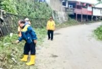 UPTD PU Cicurug rutin bersihkan bahu jalan agar ilalang tak ganggu pandangan pengendara.