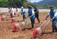 Sorgum Cipatuguran jadi energi hijau untuk PLTU Palabuhanratu.