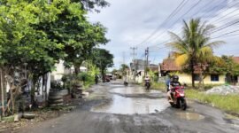 Jalan Pelita–Jayanti kembali rusak, UPTD PU dorong rehabilitasi menyeluruh tahun depan.