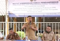 Wabup Sukabumi dorong kolaborasi TPP P3MD untuk percepat pembangunan desa. (fb/Pemerintah Kabupaten Sukabumi)

