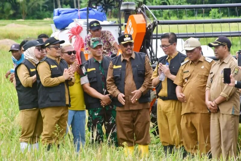 Ciemas ditegaskan jadi salah satu penopang utama swasembada pangan Sukabumi. (fb/Pemerintah Kabupaten Sukabumi)
